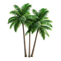 Lush Green Palm Trees in Vibrant Nature Setting