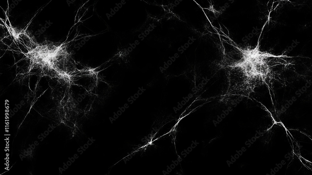 Poster abstract neural network visualization complex webs