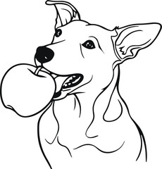 A dog eating an apple line art white background no color, bold lines, clean line art 3.eps