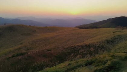 Fototapeta premium Experience the harmony of light and nature. 