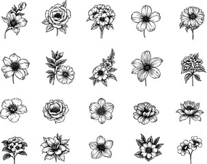 Set of flower blossom vector