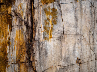 Stone background