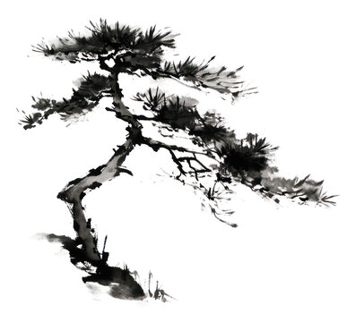 A Chinese brushstroke illustration of a A bonsai tree growing atop a rugged rock PNG
