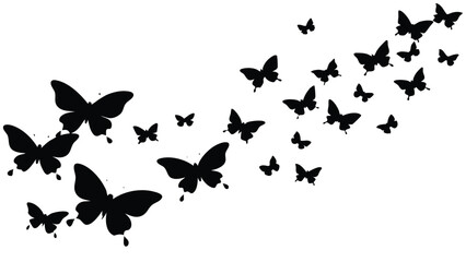 Swarm of Butterflies in the Sky