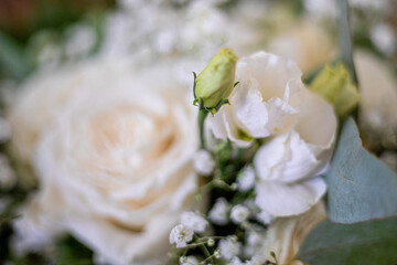 Soft focus on delicate white flowers and green stems in a bouquet