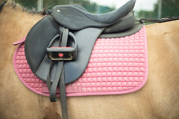 A saddle on a horse. The stirrup and the saddle. Riding.