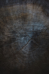 Fototapeta premium A cross section of an old cracked log