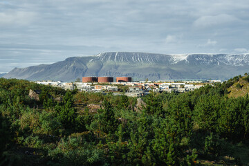 A landscape with trees and buildings in the background