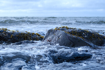 A rock with seaweed in waves
