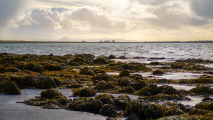 A rocky beach with a body of water and a distant land in the bac