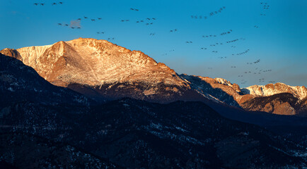Migrating birds pass over Pikes Peak at sunrise in Colorado Springs.