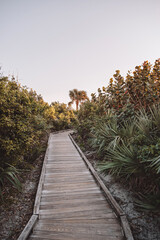 Walking down a wood walkway to the beach at sunrise