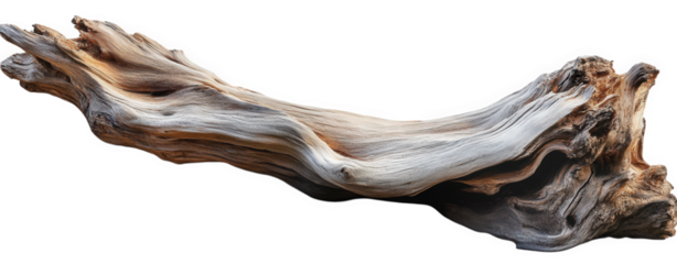 a weathered. gnarled tree branch with a light brown and grey color. isolated on a transparent background it has a textured. rough surface and displays the natural beauty of wood it is perfect for addi