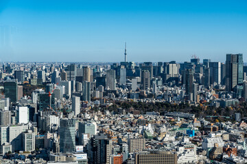 View of Tokyo cityscape including Tokyo Sky Tree  seen from Shibuya Sky building
