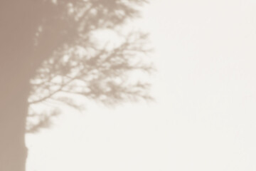 Autumn background. Shadow of leaves tree plant overlay on white wall. Sunlight effect shadow on the wall. Minimal blurred backdrop backgrounds. Summer tropical surface background.