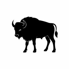 buffalo isolated on white background