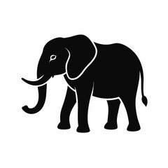 elephant illustration
