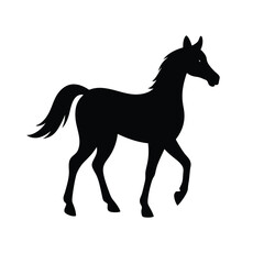 silhouette of a horse