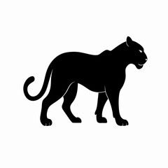 Fototapeta premium silhouette of a leopard