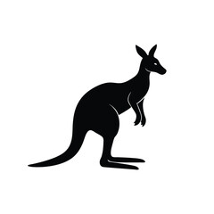 kangaroo illustration