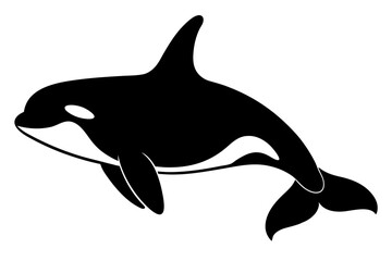  a cute orca silhouette vector illustration