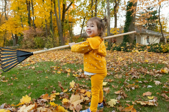 Adorable Little Preschool Girl Holding Rake in Backyard During Autumn