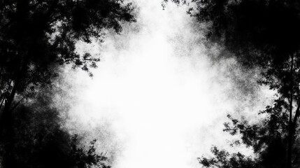 Dark Forest Frame Monochrome Nature Border