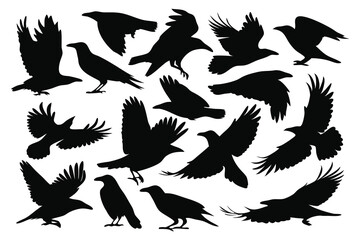 Crow silhouettes set isolated flat vector illustration on white background