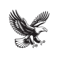 flying hunting bald eagle black silhouette illustration design.