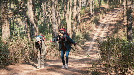Fototapeta premium Travelers hiking through a forest with backpacks, exploring the wilderness and taking in the sights of nature as they walk.