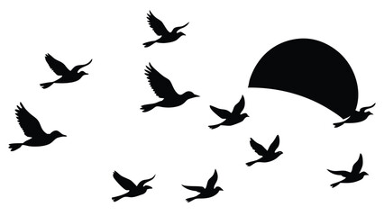 Silhouette of Birds at Sunset