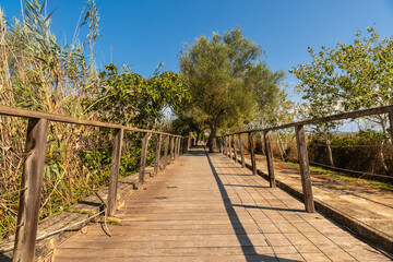 Fototapeta premium Wooden footbridge crossing s'albufera natural park in mallorca