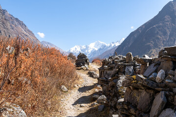Nepal - Langtang Valley