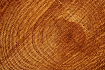 Naklejka premium Wood Grain