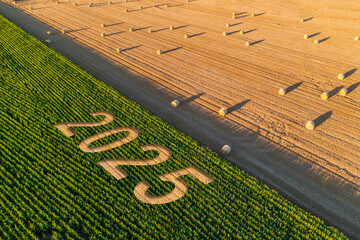 2025 new year ecology concept. 2025 text in farmed field for environment care and earth health. Environment goals and decarbonation. Agriculture concept	