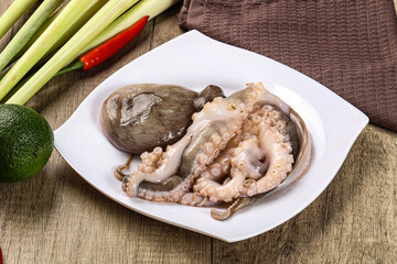 Raw fresh octopus for cooking