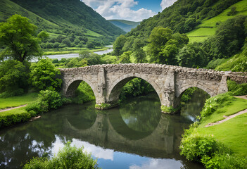 Fototapeta premium bridge over the river