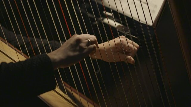 A musician playing the harp on a dimly lit stage during a live music performance