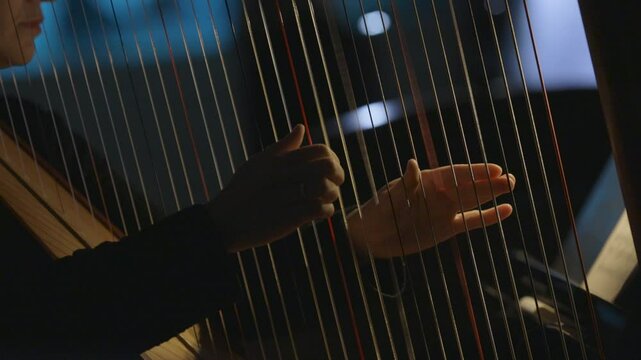 A musician playing the harp on a dimly lit stage during a live music performance