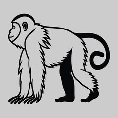 monkey line art silhouette vector design art and illustration
