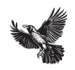 Raven flying silhouette hand drawn sketch illustration