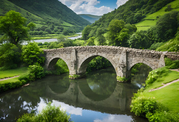 Fototapeta premium bridge over the river