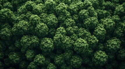 Naklejka premium Green forest filled with the abundance of nature Ecological friendly environment concept View up to the top of the green trees