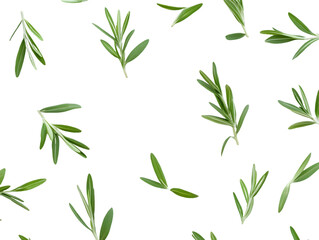 Scattered Rosemary Sprigs Isolated On A White Background, PNG Transparent