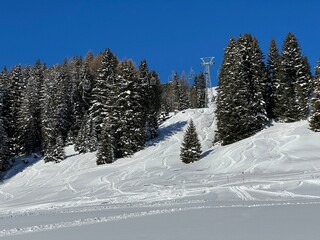 Wonderful winter hiking trails and traces in the fresh alpine snow cover of the Swiss Alps and over the tourist resort of Davos - Canton of Grisons, Switzerland (Kanton Graubünden, Schweiz)