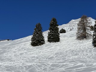 Wonderful winter hiking trails and traces in the fresh alpine snow cover of the Swiss Alps and over the tourist resort of Davos - Canton of Grisons, Switzerland (Kanton Graubünden, Schweiz)