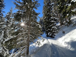 Wonderful winter hiking trails and traces in the fresh alpine snow cover of the Swiss Alps and over the tourist resort of Davos - Canton of Grisons, Switzerland (Kanton Graubünden, Schweiz)