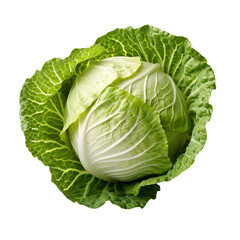 head of fresh green cabbage on a transparent background with clipping path, PNG image, PNG file, Generative art. photo 