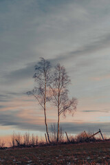 The cultural landscape between Bilitt and Balke at Toten, Norway, in December 2024.