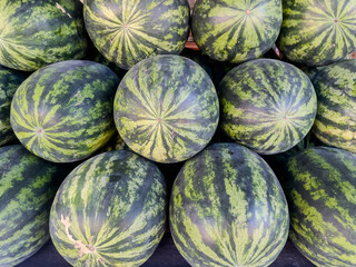 watermelons at the market